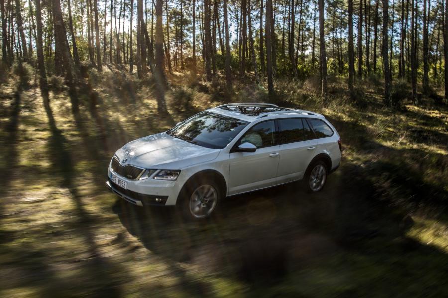  Skoda Octavia Scout 2017 года  (WW) (фото 14 из 40)